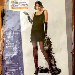 Fashion Flapper Halloween Costume Women size Small 1920s style fringe dress